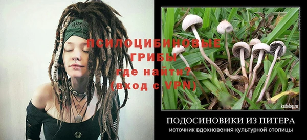 твердый Абинск