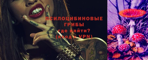 твердый Абинск