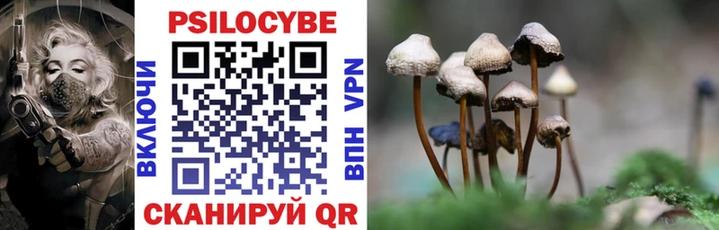Псилоцибиновые грибы ЛСД купить наркотики сайты Тольятти